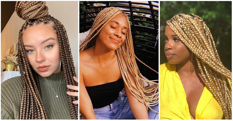 Honey Blonde Braids: What They Are?