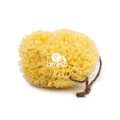 The Luxurious Expertise of Pure Sea Sponges for Bathing